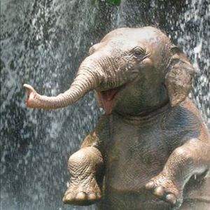 Elephant Theme Coasters